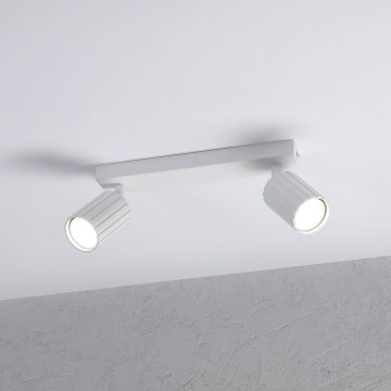 Brilagi - Spot svetlo CRISPINA 2xGU10/10W/230V belo