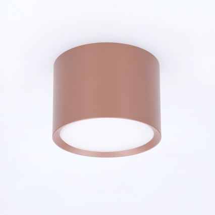 BRILAGI - Spot svetlo SMOOTH 1xGX53/15W/230V 60x82 mm braon