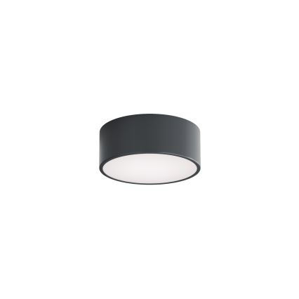 BRILAGI - Kupatilsko plafonsko svetlo CLARE 1xE27/24W/230V prečnik 20 cm antracit IP54
