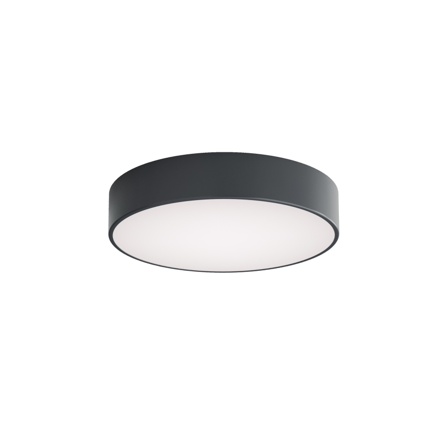 BRILAGI - Kupatilsko plafonsko svetlo CLARE 3xE27/24W/230V pr. 40 cm antracit IP54