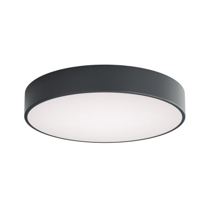 BRILAGI - Kupatilsko plafonsko svetlo CLARE 4xE27/24W/230V preč. 50 cm antracit IP54