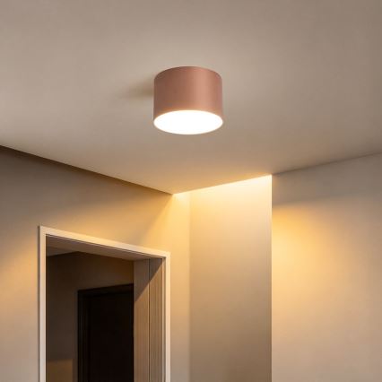 BRILAGI - Kupatilsko stropno svetlo FORIS LED/9W/230V Ø 9 cm bronzano IP44 CRI 90