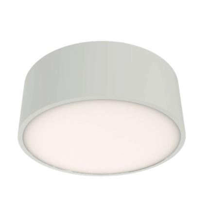 Brilagi - Stropno svetlo za kupatilo POOL 2xE27/15W/230V prečnik 30 cm IP54 belo