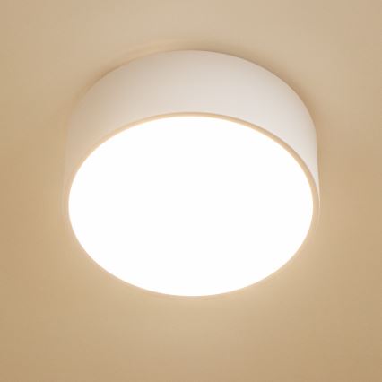 Brilagi - Stropno svetlo za kupatilo POOL 2xE27/15W/230V prečnik 30 cm IP54 belo