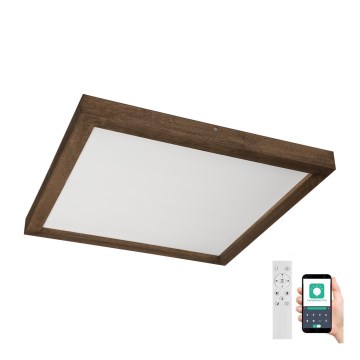 Brilagi - WOODY FRAME LED/50W/230V prigušiva plafonska lampa za kupatilo, hrast/orah 60x60 cm 3000-6000K IP44 + daljinski upravljač
