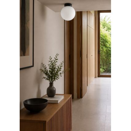 BRILAGI - Zidna svetiljka POLOS 1xE27/40W/230V prečnik 20 cm crna