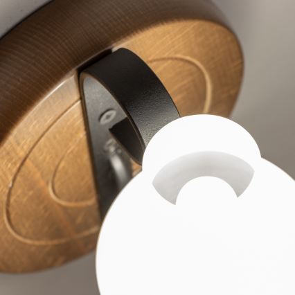 Brilagi - Zidna svetiljka ROATA APLICA 1xE14/40W/230V buk/orah