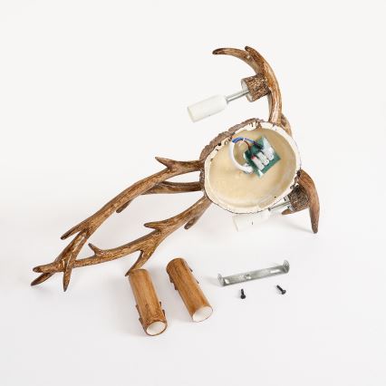 Brilagi - Zidno svetlo DEER 2xE14/10W/230V rogovi