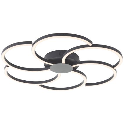 Brilliant - LED prigušiva stropna svetiljka FICO LED/32W/230V 3000-6500K prečnika 65 cm crna + daljinski upravljač