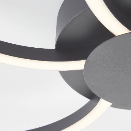 Brilliant - LED prigušiva stropna svetiljka FICO LED/32W/230V 3000-6500K prečnika 65 cm crna + daljinski upravljač
