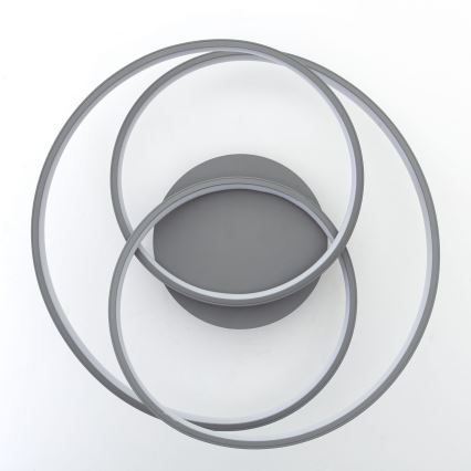 Brilliant - LED plafonsko svetlo LABYRINTH LED/40W/230V prečnik 39,5 cm siva