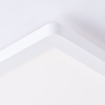 Brilliant - LED plafonsko svetlo MILTON LED/24W/230V 42x42 cm bela
