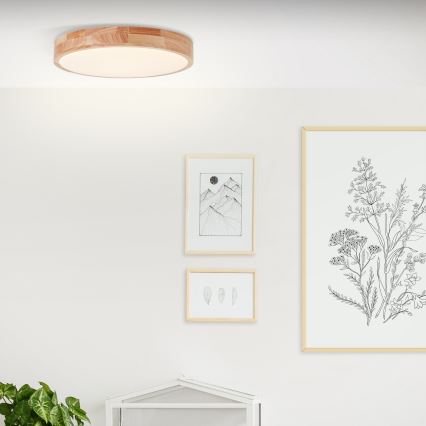 Brilliant - LED plafonsko svetlo SLIMLINE LED/22W/230V Ø 39 cm fikus