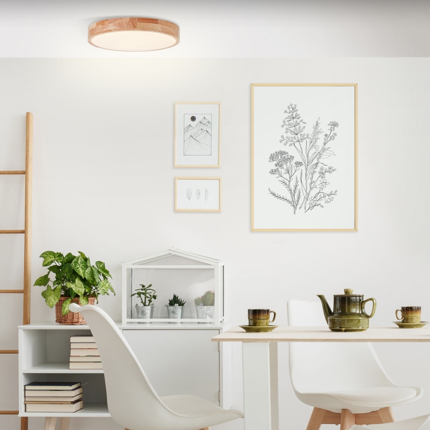 Brilliant - LED plafonsko svetlo SLIMLINE LED/22W/230V Ø 39 cm fikus