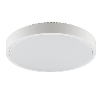 Brilliant - LED plafonsko svetlo SOLISTRA LED/24W/230V preč. 44,5 cm belo