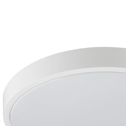Brilliant - LED plafonsko svetlo SOLISTRA LED/24W/230V preč. 44,5 cm belo
