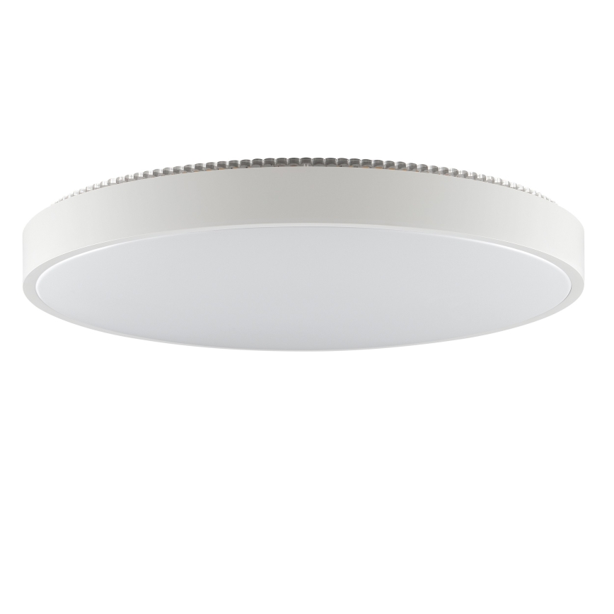 Brilliant - LED plafonsko svetlo SOLISTRA LED/36W/230V prečnik 54 cm belo
