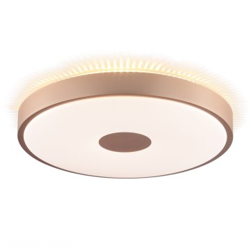 Brilliant - LED plafonsko svetlo TAVIS LED/24W/230V, prečnik 44,5 cm, roze zlato