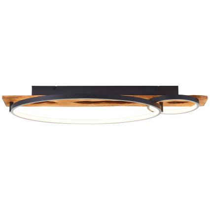 Brilliant - LED Prigušiva plafonska svetiljka PIRUS LED/30W/230V 30x70 cm kaučukovo drvo