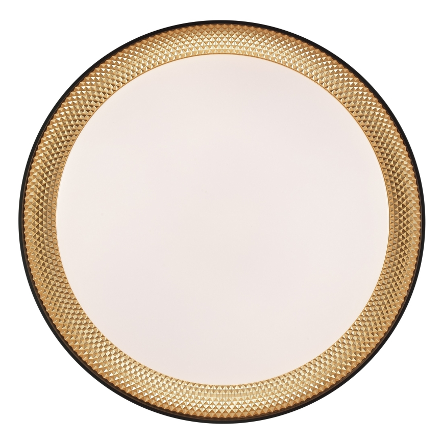 Brilliant - LED prigušiva stropna svetiljka WALDO LED/24W/230V 3000-6500K prečnik 38,5 cm crna/zlatna + daljinski upravljač