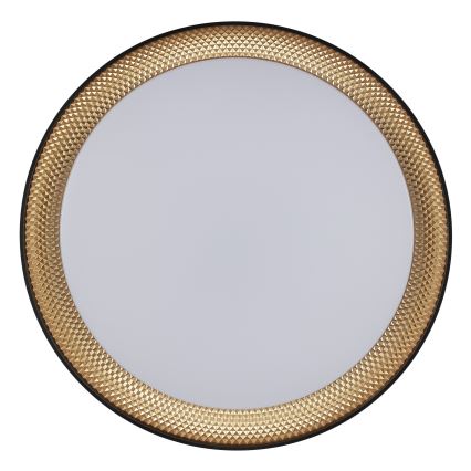 Brilliant - LED prigušiva stropna svetiljka WALDO LED/24W/230V 3000-6500K prečnik 38,5 cm crna/zlatna + daljinski upravljač