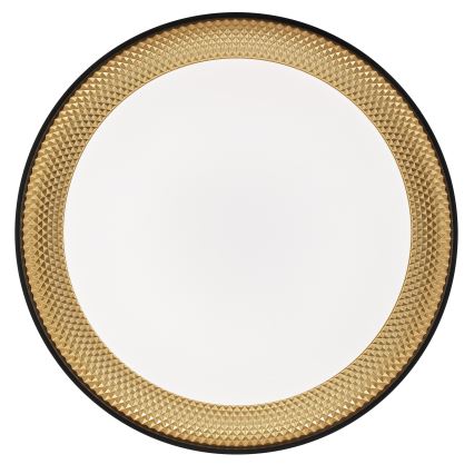 Brilliant - LED prigušiva stropna svetiljka WALDO LED/36W/230V 3000-6500K pr. 48,5 cm crna/zlatna + daljinski upravljač