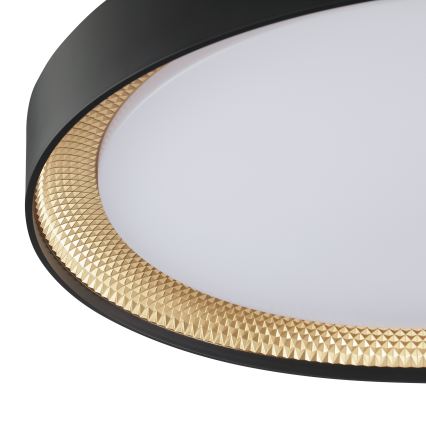Brilliant - LED prigušiva stropna svetiljka WALDO LED/36W/230V 3000-6500K pr. 48,5 cm crna/zlatna + daljinski upravljač