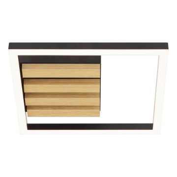 Brilliant - LED prigušiva plafonska svetiljka CALMA LED/15W/230V crna
