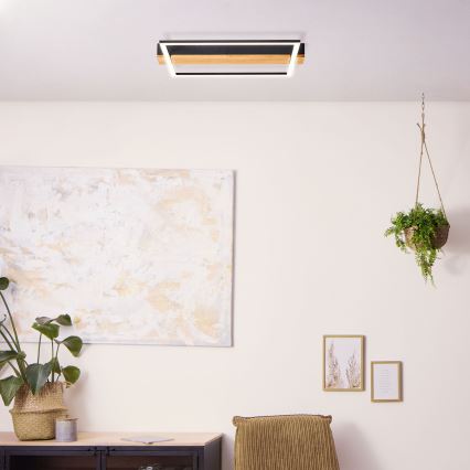 Brilliant - LED prigušiva stropna svetiljka LONEOS LED/24W/230V 3000K 45x40 cm