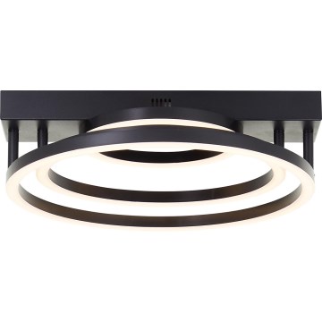 Brilliant - LED prigušiva plafonska svetiljka PEDLEY LED/36W/230V crna