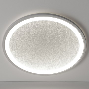 Brilliant - LED prigušiva plafonska svetiljka TANIDA LED/31W/230V 3000-6500K + daljinski upravljač