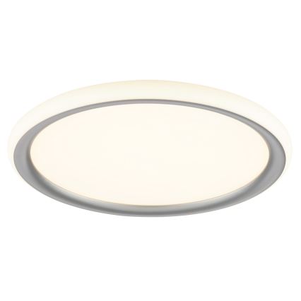 Brilliant - LED prigušiva plafonska svetiljka CARLOZ LED/16W/230V prečnika 30 cm bela/ siva