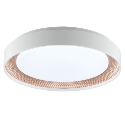 Brilliant - LED prigušiva plafonska svetiljka WALDO LED/24W/230V 3000-6500K prečnik 38,5 cm bela/roze-zlatna + daljinski upravljač
