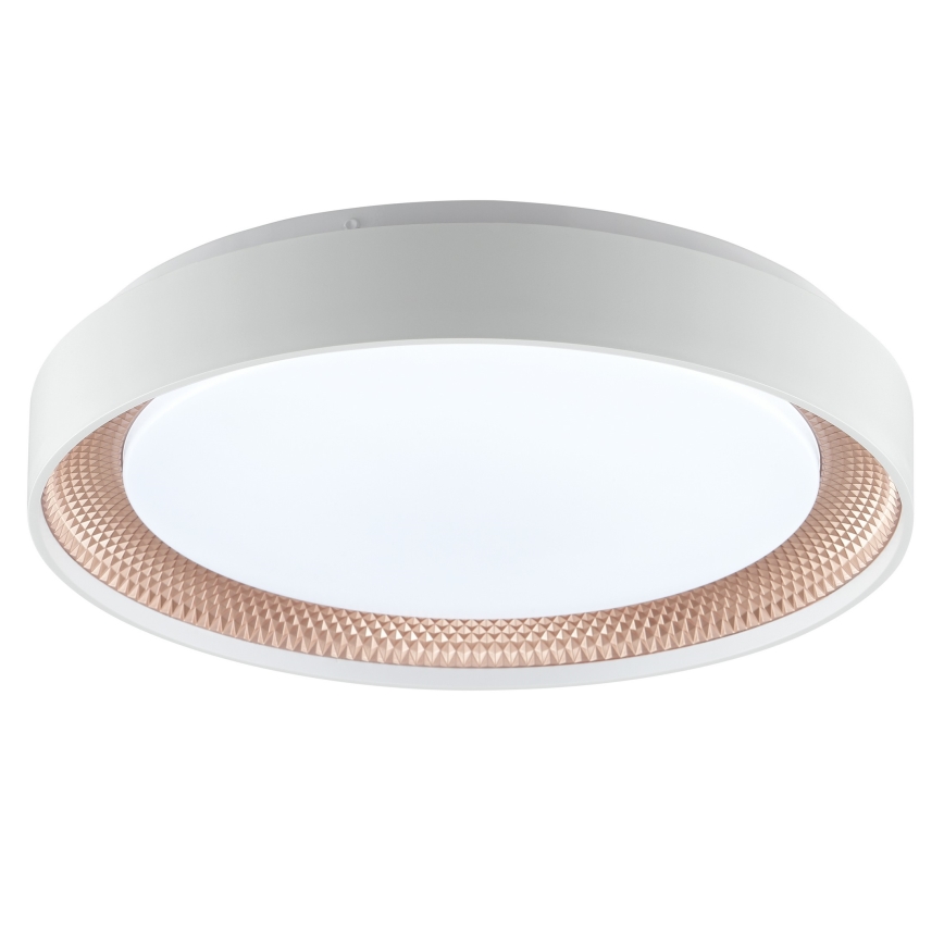 Brilliant - LED prigušiva plafonska svetiljka WALDO LED/24W/230V 3000-6500K prečnik 38,5 cm bela/roze-zlatna + daljinski upravljač