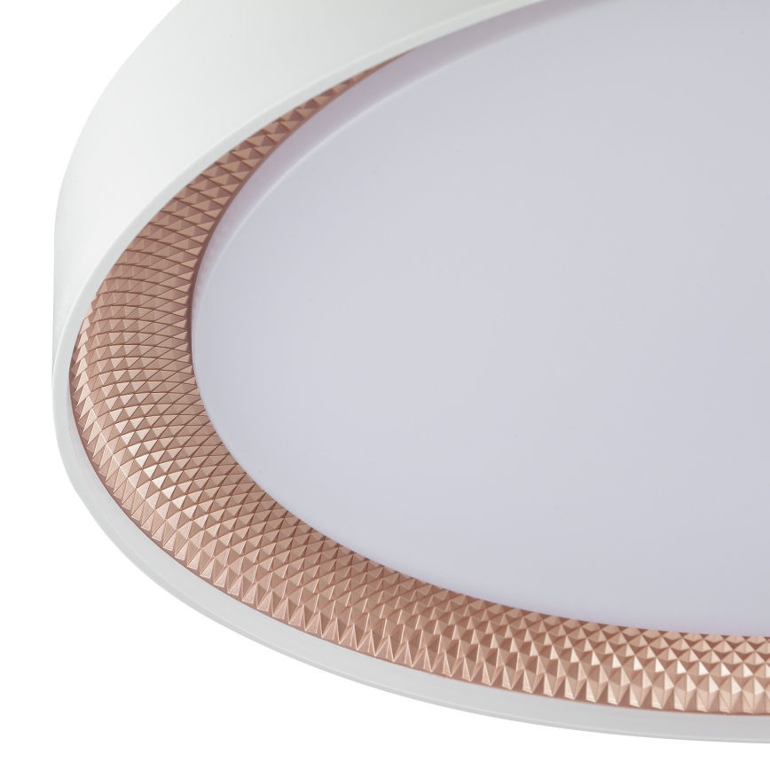 Brilliant - LED prigušiva plafonska lampa WALDO LED/36W/230V 3000-6500K prečnik 48,5 cm bela/roze zlato + daljinski upravljač