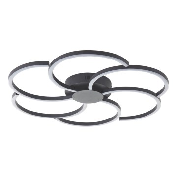 Brilliant - LED prigušivo plafonsko svetlo FICO LED/32W/230V 3000-6500K prečnik 65 cm crno + daljinski upravljač