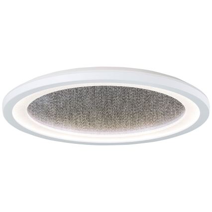 Brilliant - LED RGBW prigušiva plafonska svetiljka TANIDA LED/22W/230V 3000-6500K+ daljinski upravljač