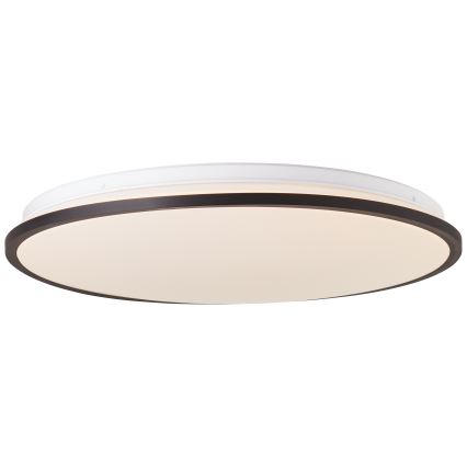 Brilliant - LED RGBW prigušiva plafonska svetiljka HEIDA LED/30W/230V 3000-6500K + daljinski upravljač