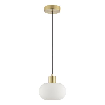 Brilliant - Luster na sajli FANNY 1xE27/20W/230V, prečnik 22 cm, mesing