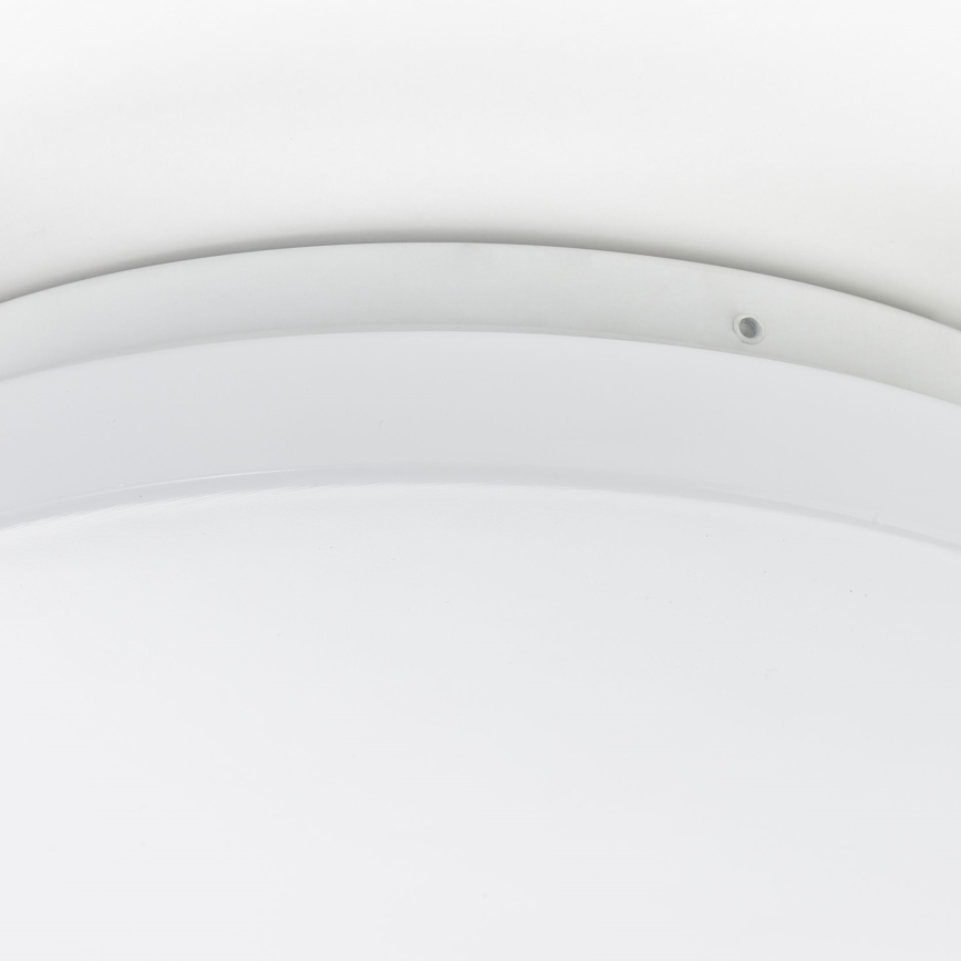 Brilliant - Plafonsko svetlo FARICA LED/12W/230V Ø 26 cm belo