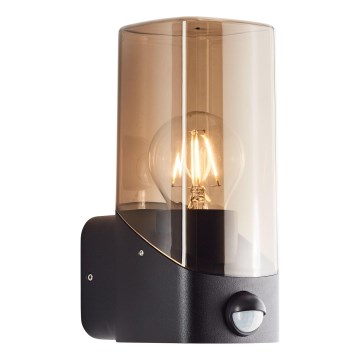 Brilliant - Spoljna zidna svetiljka sa senzorom MINOU 1xE27/10W/230V IP44 crna/zadimljena