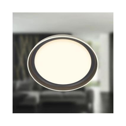 Brilo - LED plafonsko svetlo IJUS LED/24W/230V 3000K prečnika 43 cm