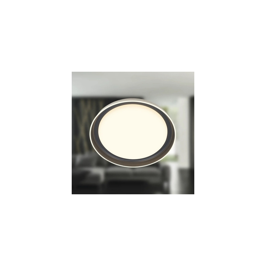 Brilo - LED plafonsko svetlo IJUS LED/24W/230V 3000K prečnika 43 cm