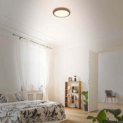 Brilo - LED plafonsko svetlo RUNA LED/12W/230V