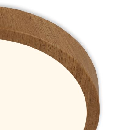 Brilo - LED plafonsko svetlo RUNA LED/12W/230V