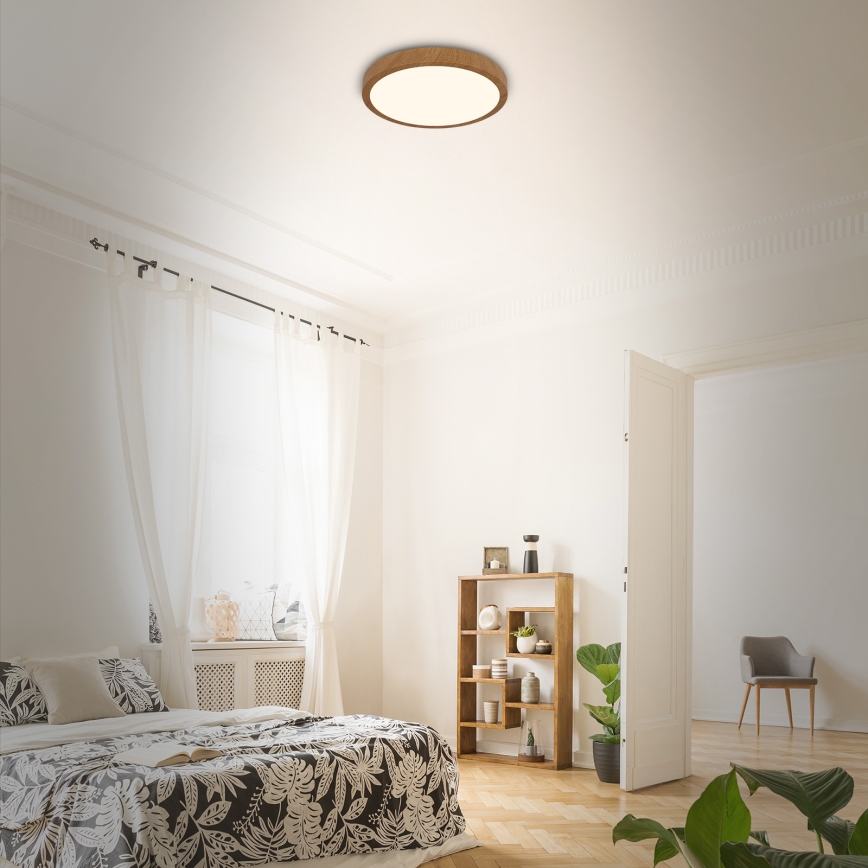 Brilo - LED plafonsko svetlo RUNA LED/24W/230V