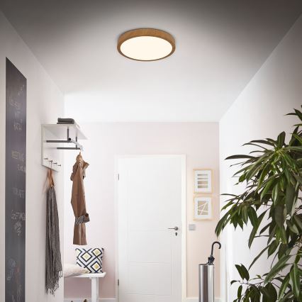 Brilo - LED plafonsko svetlo RUNA LED/24W/230V