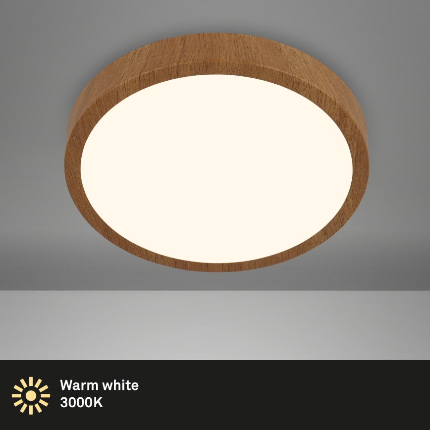 Brilo - LED plafonsko svetlo RUNA LED/24W/230V