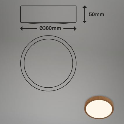 Brilo - LED plafonsko svetlo RUNA LED/24W/230V