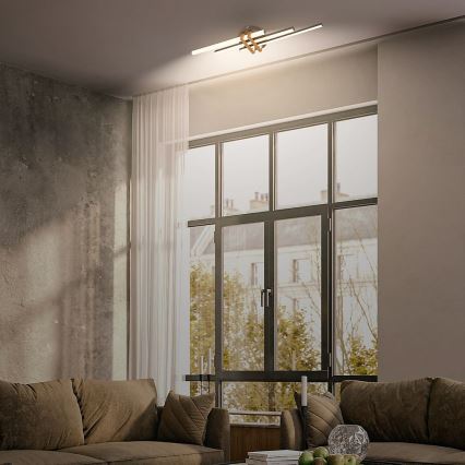 Brilo - LED plafonsko svetlo TINKA LED/21W/230V 3000K crno